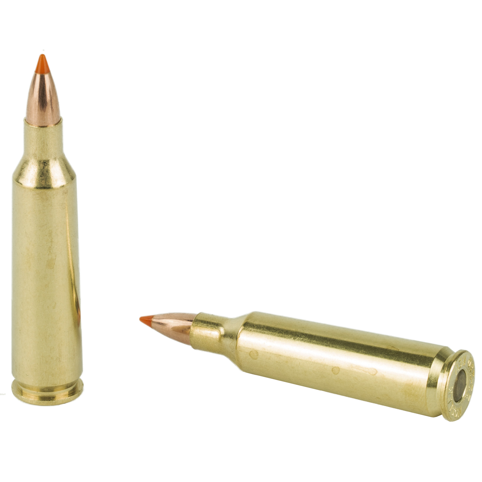 Nosler 22-250 55gr Bt - Image 3