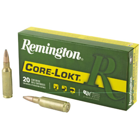 Rem 300rsaum 165gr Psp Cl 20-200